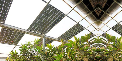 �������͸������